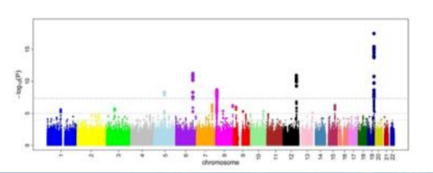 2D Manhattan Plot