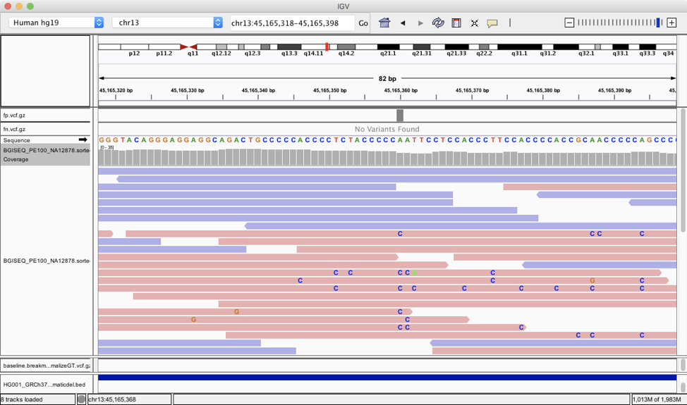 BGI-SEQ Visualization