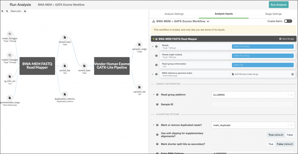 DNAnexus Platform Analysis