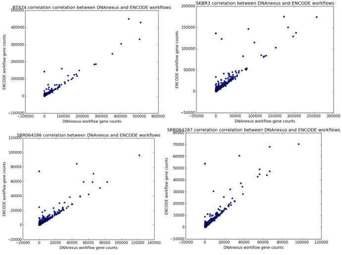 Correlation Scatter Plots