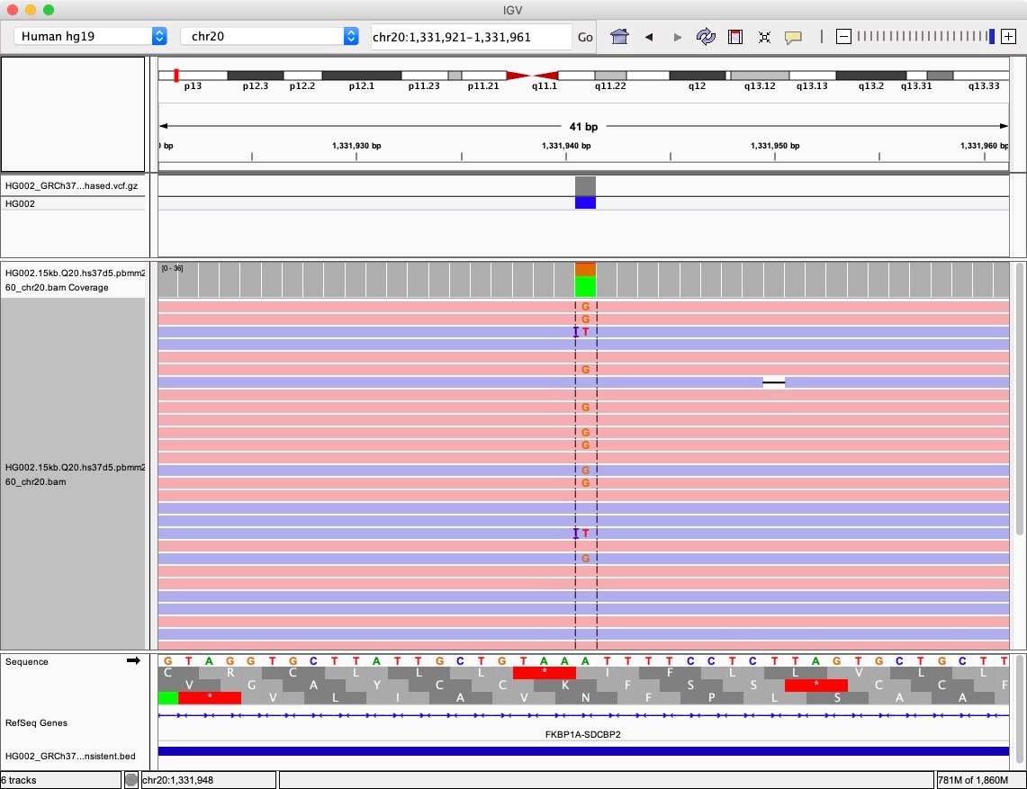 Variant at locus 20:1331941