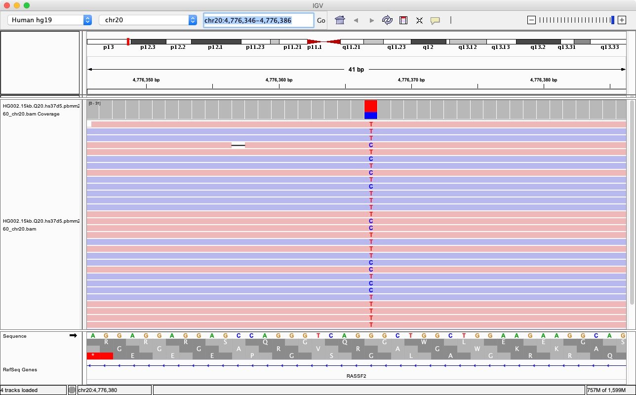 IGV screenshot chr20:4776366-4776367