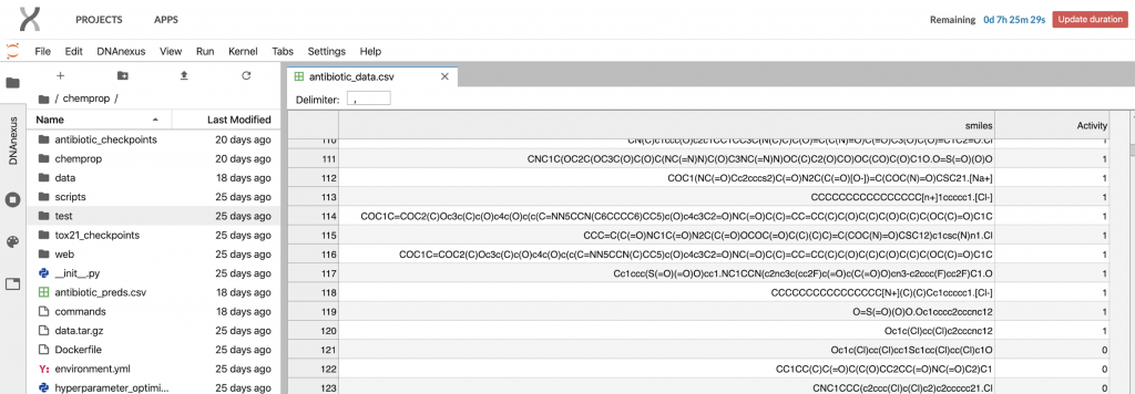 JupyterLab Interface