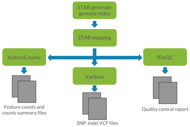 QuickRNASeq Model