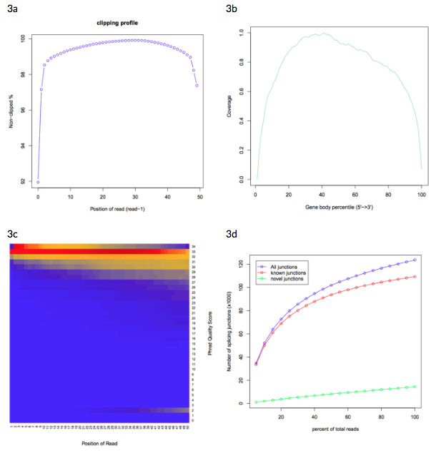 RSeQC Output