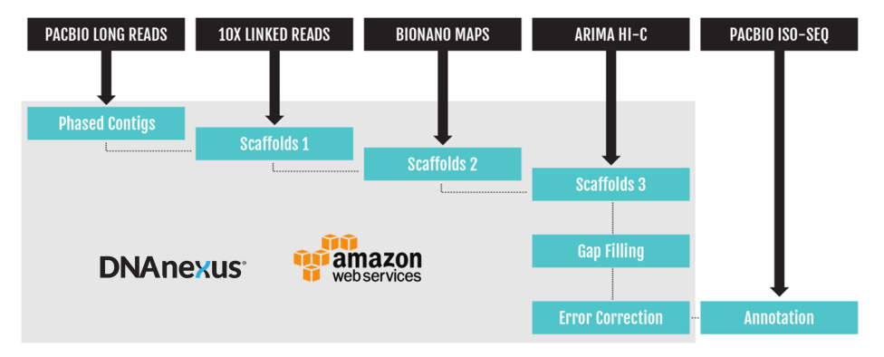 Building a GenomeArk on the Cloud - Inside DNAnexus