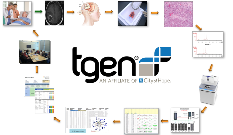 Precision Medicine Workflow